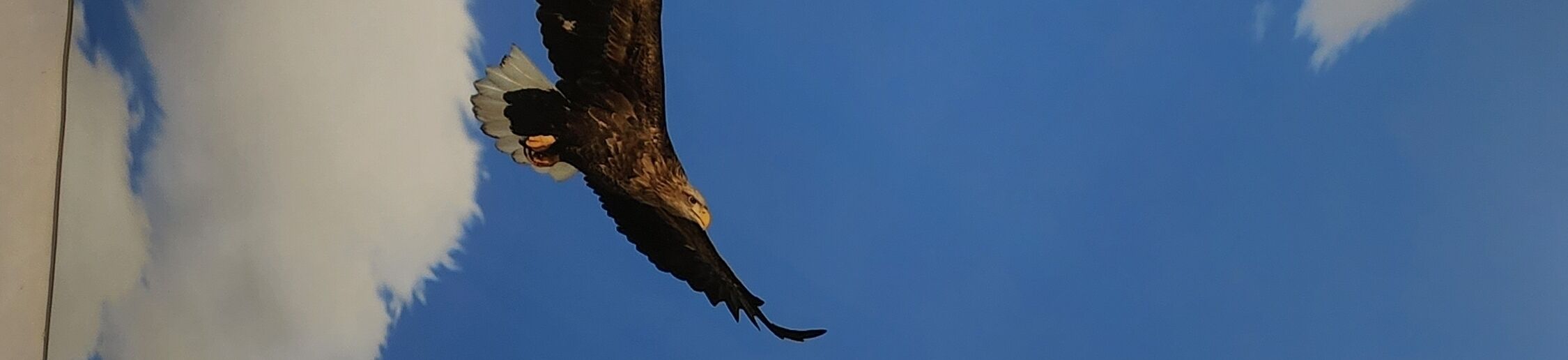 НАТЯЖНЫЕ ПОТОЛКИ ➤ Кыргызстан ᐉ Бизнес-профиль компании на lalafo.kg