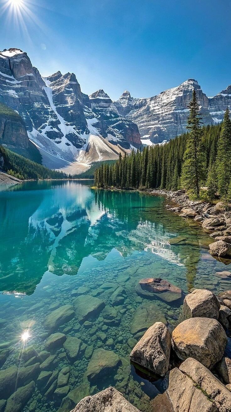 FURURE ➤ Кыргызстан ᐉ Бизнес-профиль компании на lalafo.kg FURURE ➤ Кыргызстан ᐉ Бизнес-профиль компании на lalafo.kg