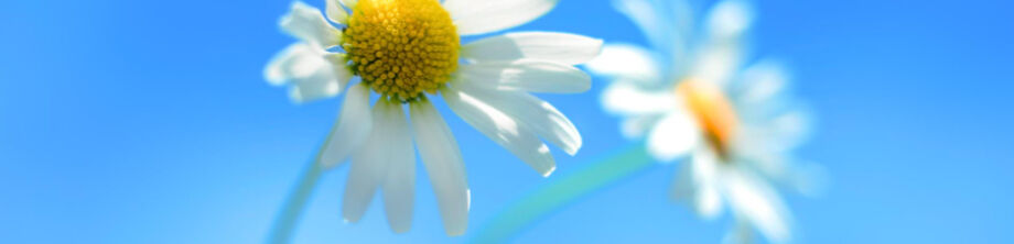 AVO ➤ Кыргызстан ᐉ Бизнес-профиль компании на lalafo.kg