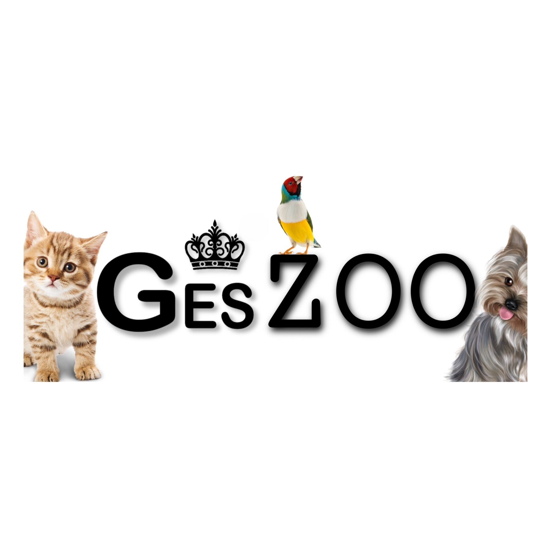 GES ZOO ➤ Азербайджан ᐉ Бизнес-профиль компании на lalafo.az