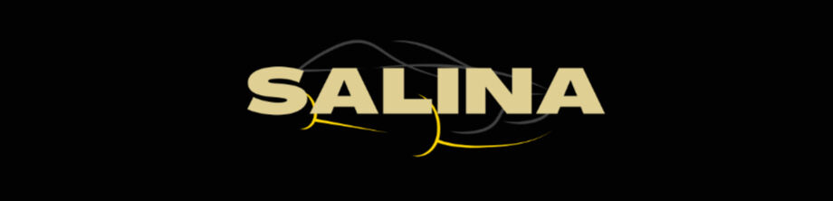 Salina ➤ Кыргызстан ᐉ Бизнес-профиль компании на lalafo.kg