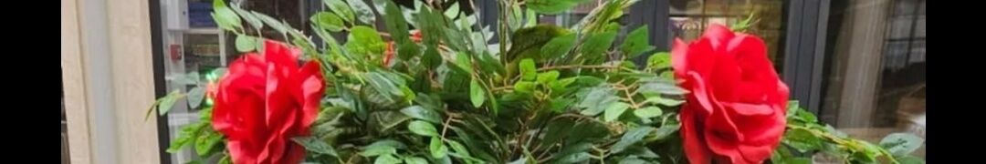 EVREN GREEN🌹🐦🪴 ➤ Azərbaycan ᐉ lalafo.az-da şirkət biznes profili EVREN GREEN🌹🐦🪴 ➤ Azərbaycan ᐉ lalafo.az-da şirkət biznes profili