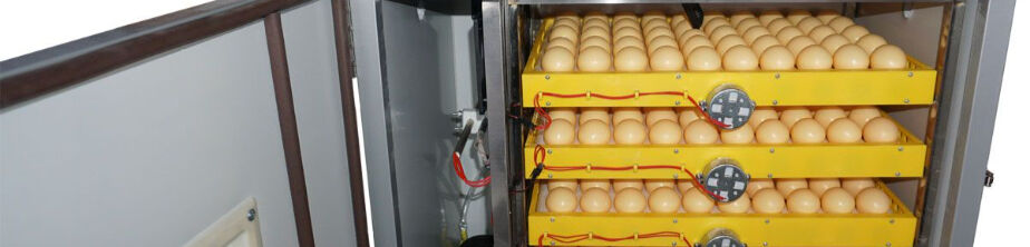 VadimRustemov ➤ Azərbaycan ᐉ lalafo.az-da şirkət biznes profili VadimRustemov ➤ Azərbaycan ᐉ lalafo.az-da şirkət biznes profili