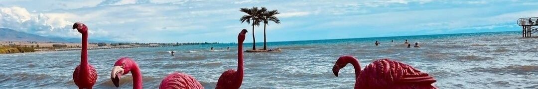 Юлия ➤ Кыргызстан ᐉ Бизнес-профиль компании на lalafo.kg