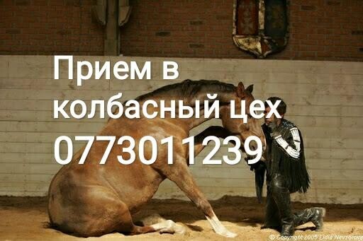 mysokombinat - Бизнес-профиль компании на lalafo.kg | Кыргызстан