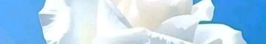 массаж!!!massage Орозбекова112массаж ➤ Кыргызстан ᐉ Бизнес-профиль компании на lalafo.kg