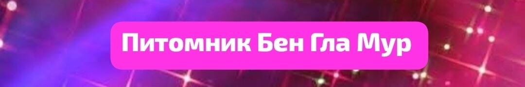 Виктория ➤ Кыргызстан ᐉ Бизнес-профиль компании на lalafo.kg