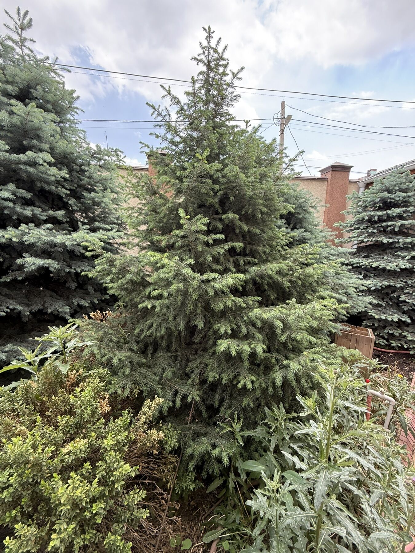 Ааа ➤ Кыргызстан ᐉ Бизнес-профиль компании на lalafo.kg