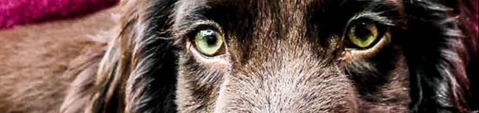 ARVORON ➤ Кыргызстан ᐉ Бизнес-профиль компании на lalafo.kg ARVORON ➤ Кыргызстан ᐉ Бизнес-профиль компании на lalafo.kg