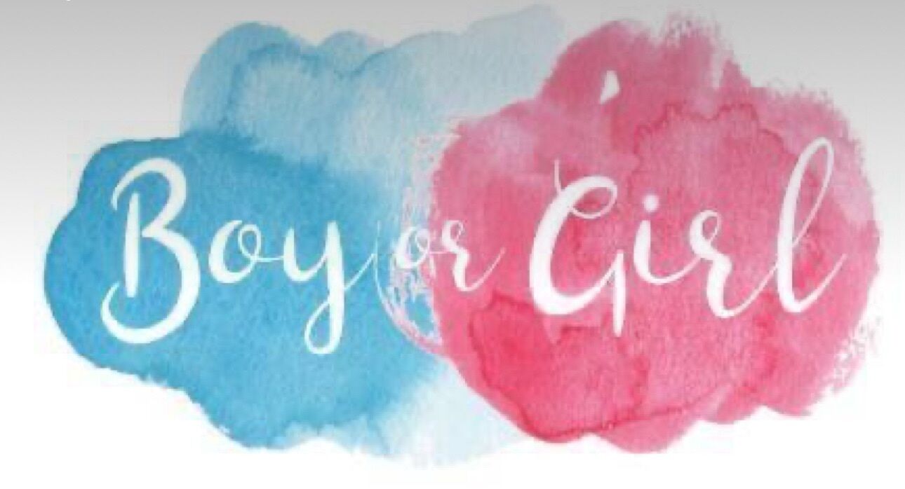 Гендер пати ➤ Кыргызстан ᐉ Бизнес-профиль компании на lalafo.kg