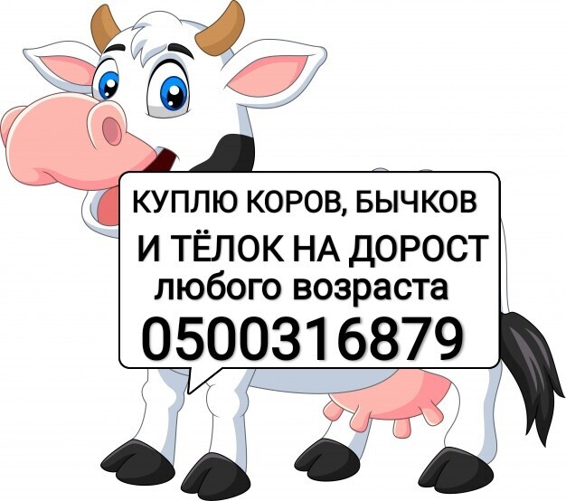 aleksei ➤ Кыргызстан ᐉ lalafo.kg-да компаниянын Бизнес-профили