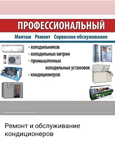 холодильник ветриный: Ремонт холодильников и холодильного оборудования Профессиональный — 3