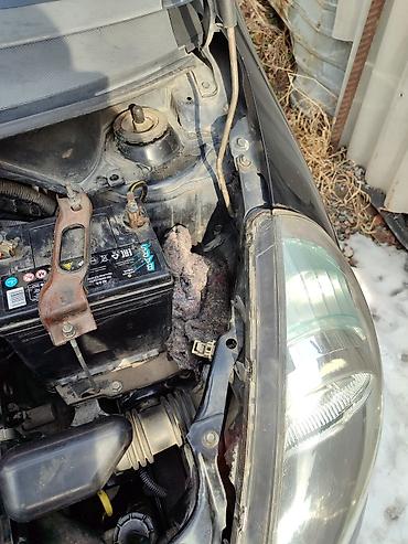 Honda: Honda Fit: 2005 г., 1.3 л, Вариатор, Бензин, Хэтчбэк — 6