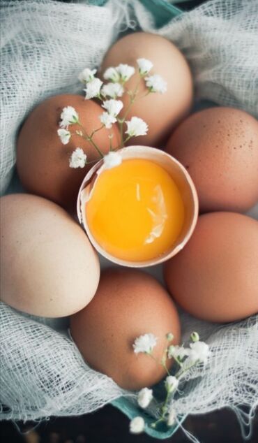 белая река творог цена in Кыргызстан | МОЛОЧНЫЕ ПРОДУКТЫ И ЯЙЦА: Продаю яйца очень вкусные, домашние. С доставкой. Берите на пробу, не