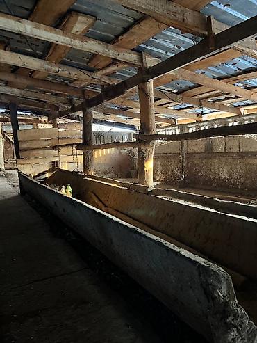 Продажа участков: 115 соток, Для бизнеса, Красная книга, Тех паспорт, Договор купли-продажи — 7