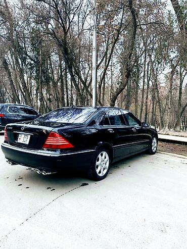 s class 222: Mercedes-Benz S-Class: 2004 г., 5 л, Автомат, Бензин, Седан — 10