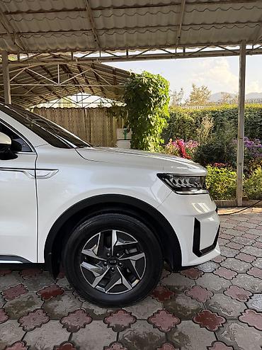 продаю туманки: Kia Sorento: 2020 г., 1.6 л, Автомат, Гибрид, Кроссовер — 2
