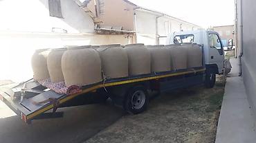 Другие животные: Тандыр Качественный тандыр привознои из Оша. изготовлен из Ошского — 9