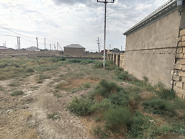 Torpaq sahələrinin satışı: 6 sot, Tikinti, Kupça (Çıxarış) — 5