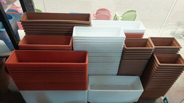 Bitkilər üçün dibçəklər: Dipçək dipcekler dipcek qablari dipcek qablar gul aabilar Dipcekler -da lalafo.az — 21 Bitkilər üçün dibçəklər: Dipçək dipcekler dipcek qablari dipcek qablar gul aabilar Dipcekler — 21