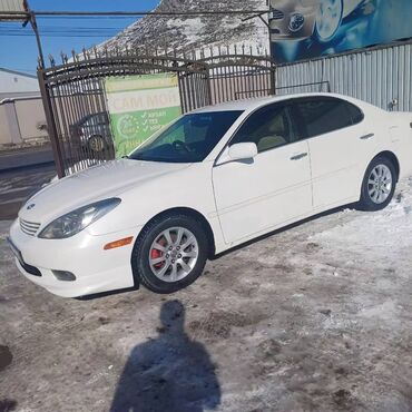 тайотта ист: Toyota AA: 2002 г., 3 л, Автомат, Бензин, Седан