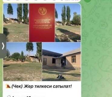 дом на иссык куле купить: 10 соток, Красная книга