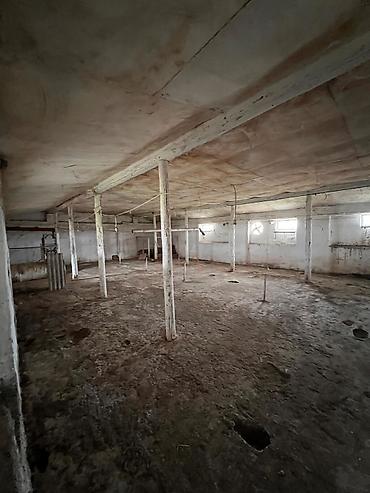 Kommersiya daşınmaz əmlakının satışı: 🔹 Satılır: Ferma – Xudat, Ləcət kəndi 🔹 ✅ Unikal fürsət! Xudat-Yalama — 10