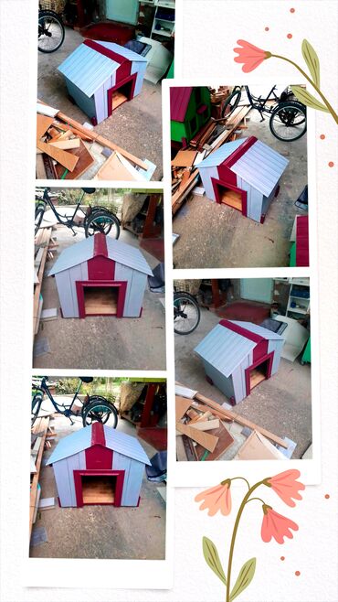 Yuvalar: İt yuvaları müxtəlif ölçülərdə münasib qiymətlə şəkildəki yuvalar — 10