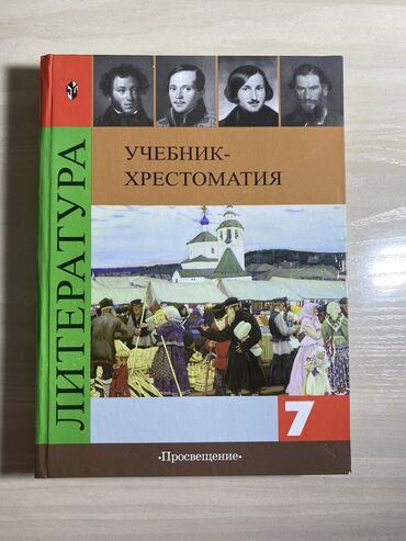 история 7: Литература 7 класс, учебник в идеальном состоянии