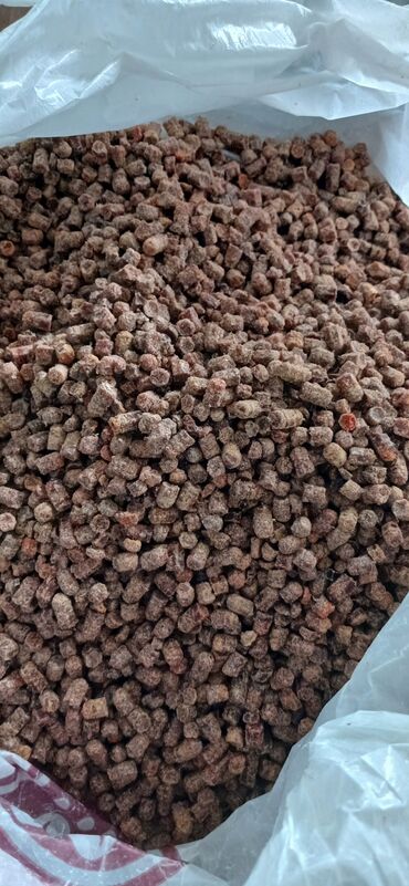 Digər qida məhsulları: ARI ÇÖRƏYİ ( GÜLƏM) Arı məhsulu Tərkibi: 1. Çiçək tozu əsasən; 2. arı — 6