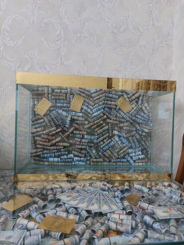 Akvariumlar: Dolar Akvaryum. 22 litir 40 man 35 litir. 60 man 80 litir 90 man Bu — 7