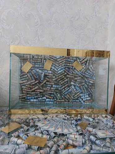 ceyran buynuzu: 70×45×25 bõyük olan.Balaca olan 50×30×25. isdədiyiviz õlçû sifariş — 7