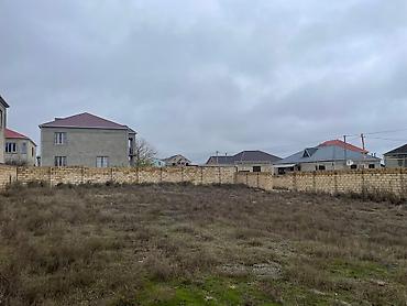 binə mehriban qonşular: 10 sot, Maklerlər narahat etməsin, Kupça (Çıxarış) — 6