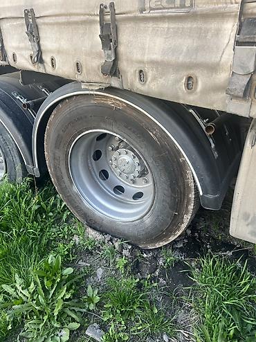 Тягачи: Тягач, DAF, 2003 г., Шторный — 8