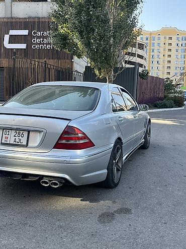 mersedes e220: Mercedes-Benz S-Class: 1999 г., 4.3 л, Автомат, Седан — 1