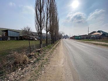 Продажа участков: 5 соток, Для строительства, Красная книга at lalafo.kg — 3 Продажа участков: 5 соток, Для строительства, Красная книга — 3