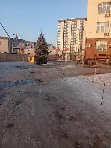 Продажа квартир: 2 комнаты, 67 м², Элитка, 1 этаж — 9