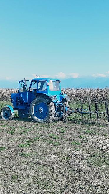 dizel muhərrik satilir: Traktor Belarus (MTZ) 1980, 1985 il, 80 at gücü, motor 5.8 l, İşlənmiş — 8
