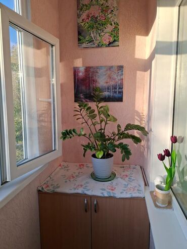 Продажа квартир: 3 комнаты, 58 м², 104 серия — 9