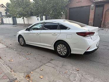 byd e2 2025: Hyundai Sonata: 2018 г., 2 л, Автомат, Бензин, Седан — 5