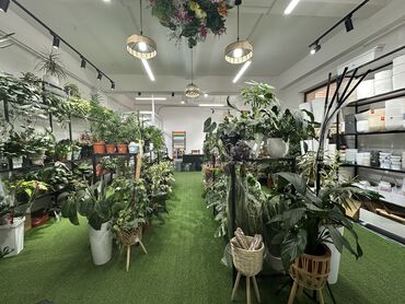 продажа цветочного магазина: Сатам Дүкөн Турак үйдө, 62 кв. м, Жаңы ремонт, Эшиги өзүнчө, 1 кабат