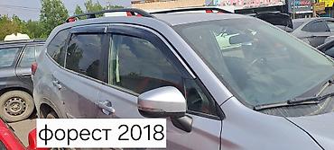 Ветровики и мухобойки: Toyota, Новый — 11