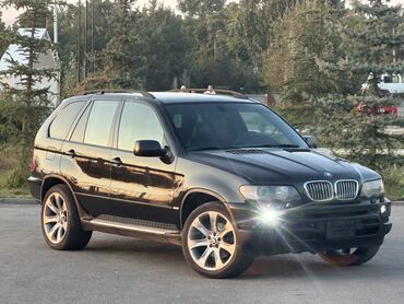 соната 2010 года: BMW X5: 2003 г., 3 л, Типтроник, Дизель