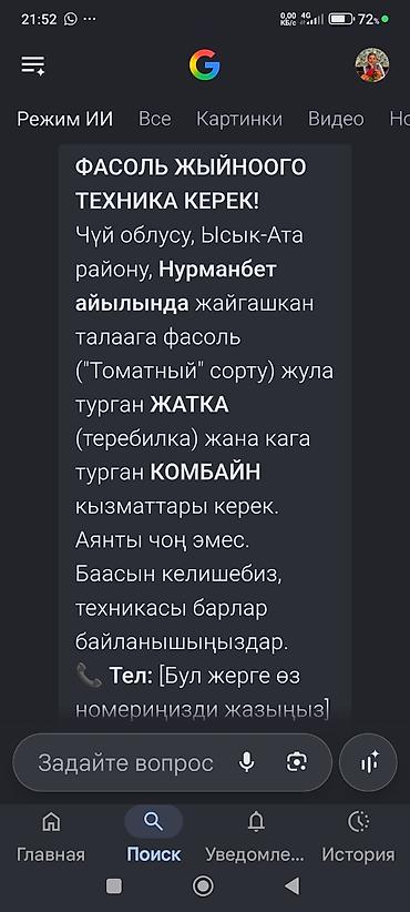 кыргызский орнамент: Услуга: техника для уборки фасоли (сорт «Томатный») в поле — 1