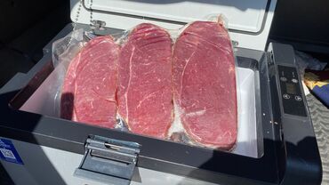 продажа щенков немецкой овчарки с документами в бишкеке: Продаю | Бык (самец) | На забой