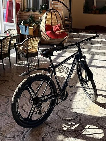 velosbet 24: Velostrim dağ velosipedi - Güclü alüminium ərintili çərçivə, düz (MTB — 1