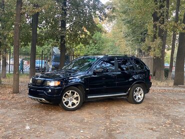 бмв 2002: BMW X5: 2002 г., 4.4 л, Автомат, Бензин, Внедорожник