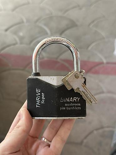 Дверные навесные замки
