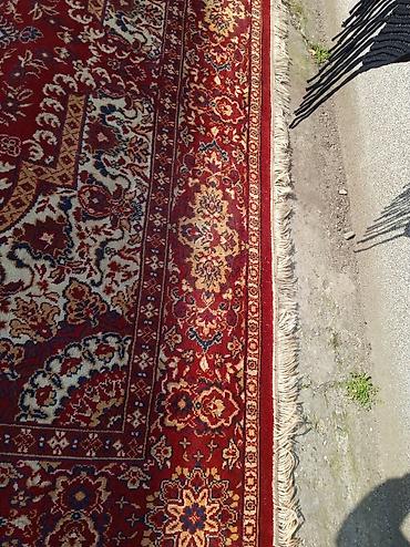 Tepisi i prostirke: Tepih 335 x 240 cm - Veliki klasični orijentalni dizajn - Dominantna — 9