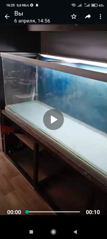 Зоотовары: Продается заводской аквариум 500 литров